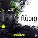 cover: Liquid Soul|Various - Full On Fluoro Vol 4