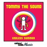 cover: Tommy The Sound - Endless Summer