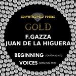 cover: Fgazza|Juan De La Higuera - Beginning