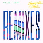 cover: Neon Trees - Sleeping With A Friend (Remixes)