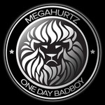 cover: Megahurtz Feat Josey Radic|Megahurtz - One Day BadBoy