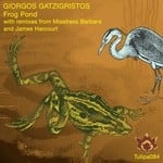 cover: Giorgos Gatzigristos - Frog Pond