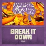 cover: Dirt Monkey|Jantsen - Break It Down