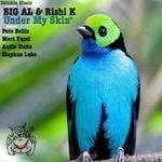 cover: Big Al|Rishi K - Under My Skin