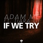 cover: Adam Me|Tiara Lii - If We Try