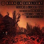 cover: Tooms|Lenny Dee - Burn In Sunlight (Explicit)