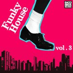 cover: Various - Funky House Vol 3