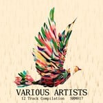 cover: Various - Various Artists Compilation