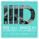 cover: 999|Amadeas - Find The Answer