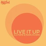 cover: Dj Pope - Live It Up