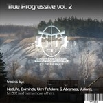 cover: Various - True Progressive Vol 2