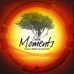 cover: Saleh - Moments