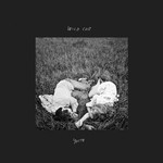 cover: Wild Cub - Youth