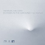 cover: The Natural Dub Cluster - Echoes In The Ground