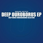 cover: Hard Season|Jazzmake|Junk Collective|Line Caddy|Sine Tunes - Deep Ouroborus (Deep House Underground Selection)