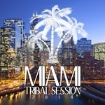 cover: Various - Miami Tribal Session 2014 (unmixed tracks)