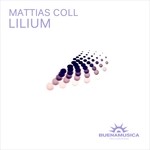 cover: Mattias Coll - Lilium