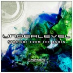 cover: Underlevel - Straight From The Ashes