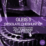 cover: Gleis 5 - Desolate Cheshunt