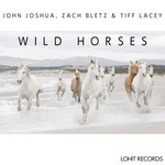 cover: Joshua, John|Tiff Lacey|Zach Bletz - Wild Horses