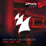 cover: Nudisorder|Ane Brun - One Last Try