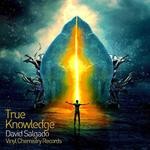 cover: David Salgado - True Knowledge