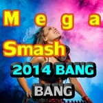 cover: 2 Joy - Mega Smash 2014 Bang Bang