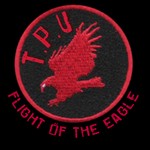 cover: The Players Union - Flight Of The Eagle