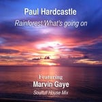 cover: Paul Hardcastle|Marvin Gaye - Rainforest: What's Going On