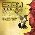 cover: Soliman|Various - Form Mix Series Vol 2