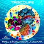 cover: Lacognata|Various - Trisco Life (DJ MIX by Lacognata)