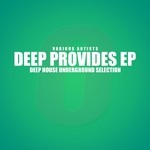 cover: Akon Kion|Bee Lover|Chad|Follow River Could|Minus - Deep Provides (Deep House Underground Selection)