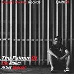 cover: The Palmer Dj - The Album Artist Special