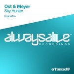 cover: Ost & Meyer - Sky Hunter