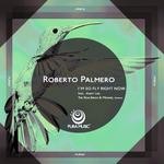 cover: Roberto Palmero - I'm So Fly Right Now