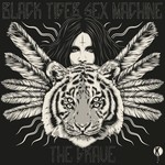 cover: Black Tiger Sex Machine - The Grave