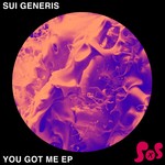 cover: Sui Generis - You Got Me