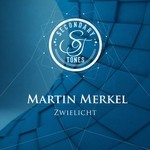 cover: Martin Merkel - Zwielicht