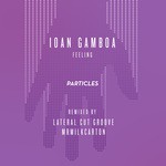 cover: Ioan Gamboa - Feeling