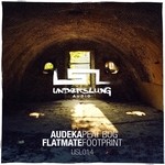 cover: Audeka|Flatmate - Peat Bog/Footprint