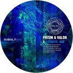 cover: Prism|Valor - Biodigital Jazz (Bonus Track Version)