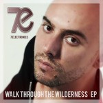 cover: 7 Electronics - Walk Through The Wilderness