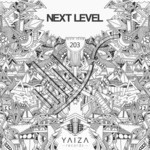 cover: Moll - Next Level