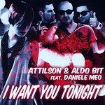 cover: Aldo Bit|Attilson|Daniele Meo - I Want You Tonight