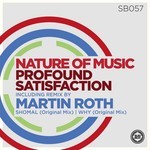 cover: Nature Of Music - Profound Satisfaction