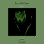 cover: Samuel Wallner - Repent