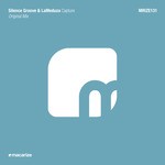 cover: Lameduza|Silence Groove - Capture