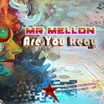 cover: Mr Mellon - Are You Ready