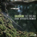 cover: Gaudium - The Dream