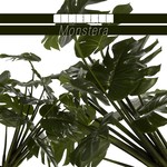 cover: Can Ergun - Monstera